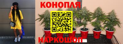каннабис Братск
