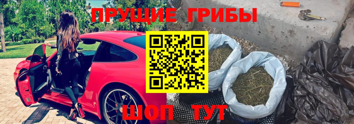 дарнет шоп  Вход с VPN  Горячий Ключ  Псилоцибиновые грибы GOLDEN TEACHER 
